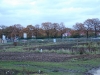 voortgang-huis-mt-4-11-2010-007_resize