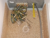 30-06-2011-en-eerder-066_resize